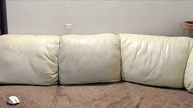 Pawsitive Panther online show from 2, 12, 2024