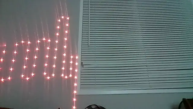 Snapshot of PETER-RABIT chatting on 29, 12, 2024 PETER-RABIT online show from 29, 12, 2024