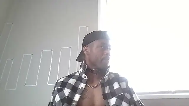 Snapshot of PETER-RABIT chatting on 29, 12, 2024 PETER-RABIT online show from 29, 12, 2024