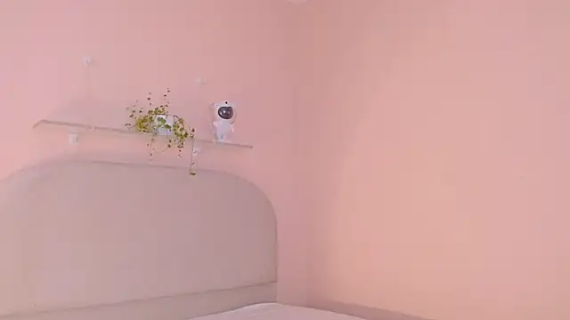 dilan sp online show from 16, 12, 2025