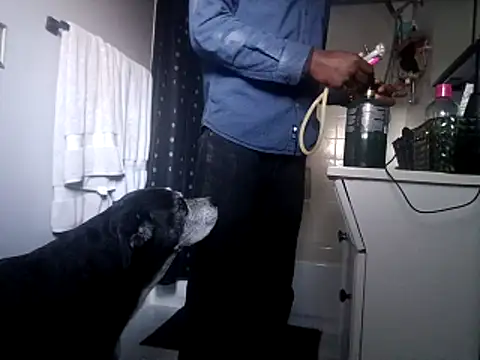 DevinToore online show from 31, 10, 2025