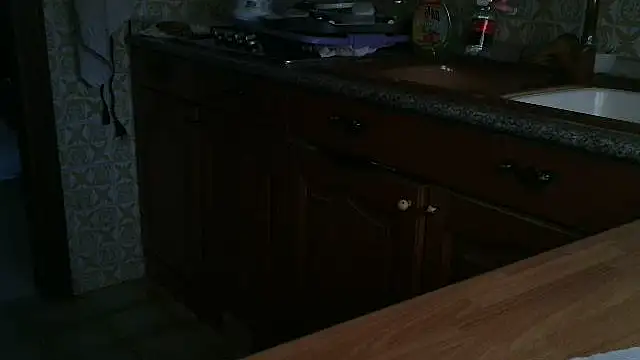 Snapshot of VeneRed chatting on 25, 9, 2025 VeneRed online show from 25, 9, 2025