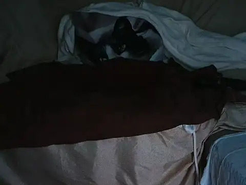 Snapshot of VeneRed chatting on 1, 10, 2025 VeneRed online show from 1, 10, 2025