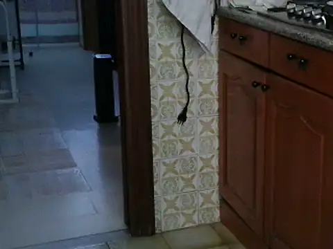 Snapshot of VeneRed chatting on 13, 10, 2025 VeneRed online show from 13, 10, 2025