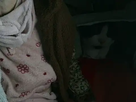 VeneRed online show from 16, 3, 2026