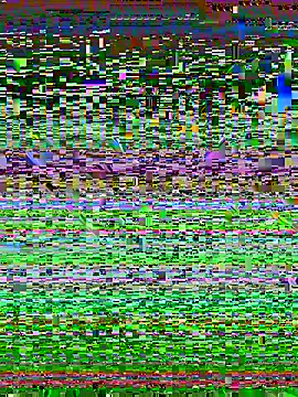 Snapshot of desiduzz21 chatting on 22, 2, 2025 desiduzz21 online show from 22, 2, 2025