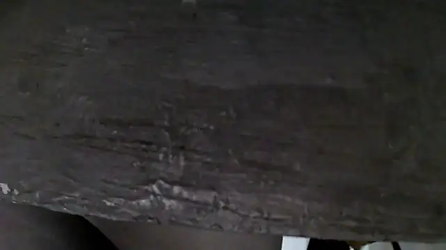 Snapshot of GO_LALA chatting on 5, 12, 2024 GO LALA online show from 5, 12, 2024