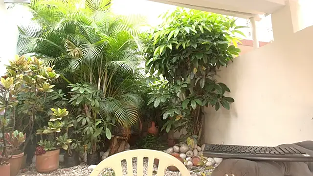 DannaDooll99 online show from 12, 10, 2025