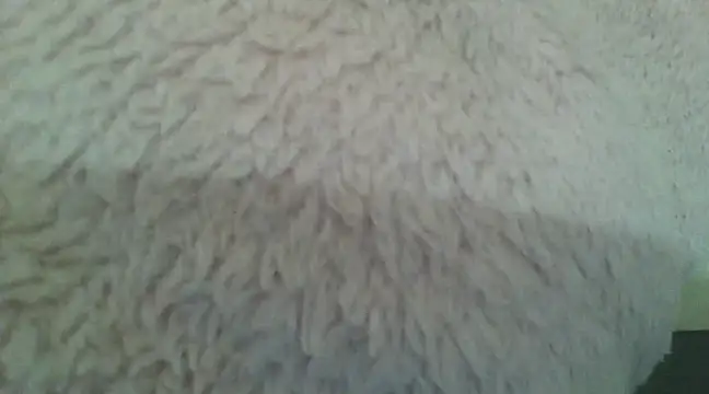 samanta0033 online show from 2, 12, 2024