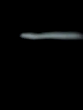Snapshot of 18_7polla chatting on 1, 12, 2025 18 7polla online show from 1, 12, 2025