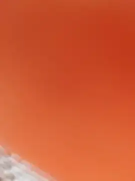  Prinscarlet  online show from 4, 12, 2024