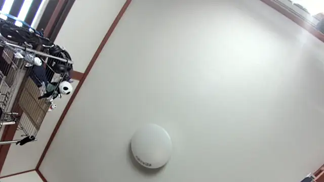 tuki fu online show from 8, 12, 2024