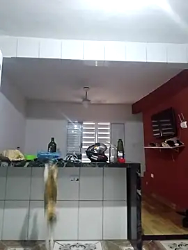 VibratedPoaching online show from 19, 3, 2026