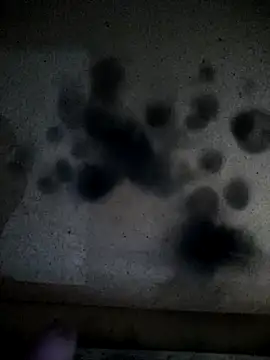 Leocesar37 online show from 13, 4, 2026