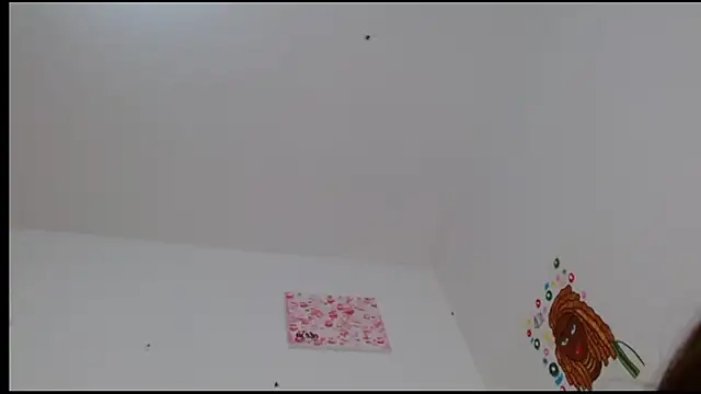 Snapshot of kity__ chatting on 24, 2, 2025 kity online show from 24, 2, 2025