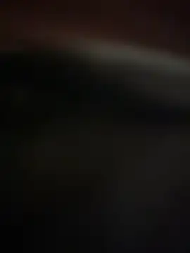 Jan berger online show from 20, 1, 2025