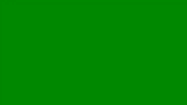 pettergrey1 online show from 26, 7, 2026