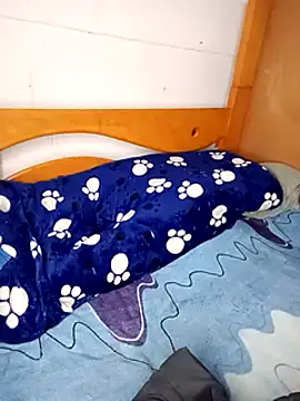 Snapshot of PequeArely chatting on 4, 12, 2024 PequeArely online show from 4, 12, 2024