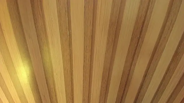 Taylor  cooper online show from 18, 4, 2026