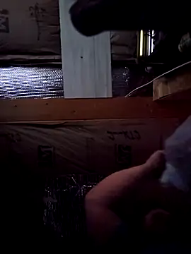 alienbunny online show from 5, 1, 2025