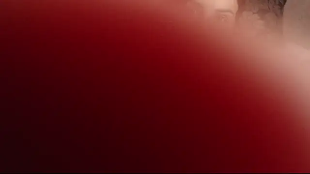 Lollipop for u online show from 2, 12, 2024