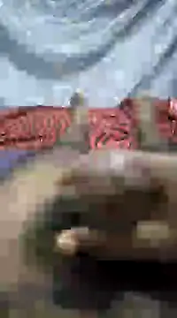 Snapshot of mallucallboy2104 chatting on 1, 1, 2025 mallucallboy2104 online show from 1, 1, 2025
