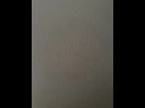 cretanbi online show from 21, 11, 2025