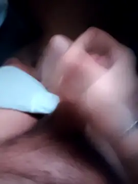 gatocamsp online show from 29, 3, 2026