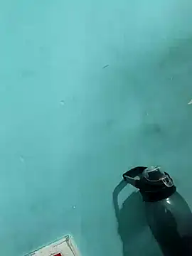 Snapshot of Rani_devi88 chatting on 24, 2, 2025 Rani devi88 online show from 24, 2, 2025