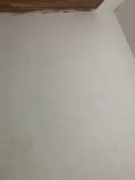 Snapshot of menorbnx chatting on 9, 11, 2025 menorbnx online show from 9, 11, 2025