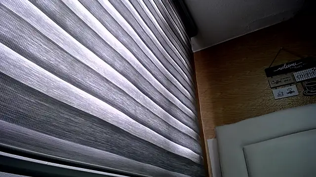 palmer mIix online show from 2, 12, 2024