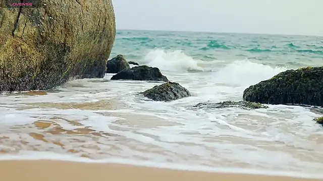  sex in paradise  online show from 4, 12, 2024