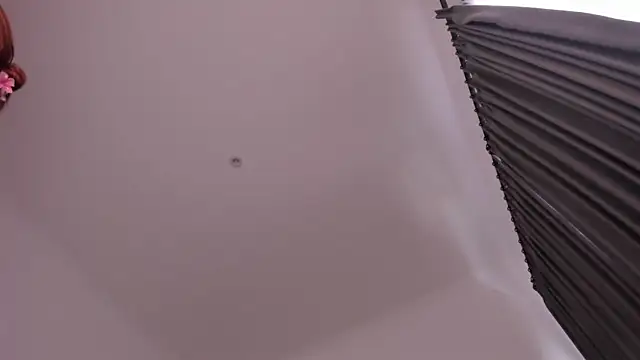 Timissi online show from 14, 2, 2026