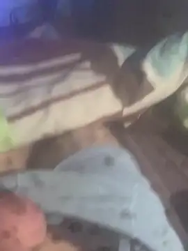 solomec online show from 19, 11, 2025