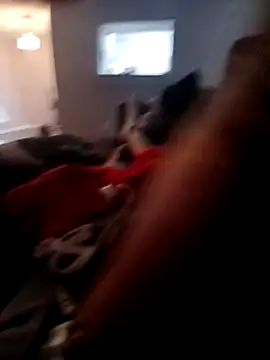 willywonka7793 online show from 15, 12, 2024