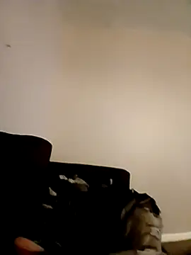 willywonka7793 online show from 16, 12, 2024