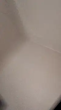 willywonka7793 online show from 17, 12, 2024