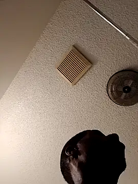 willywonka7793 online show from 3, 3, 2025