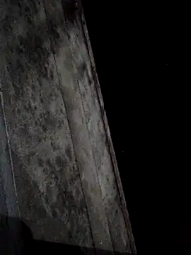 sana14 online show from 1, 3, 2025