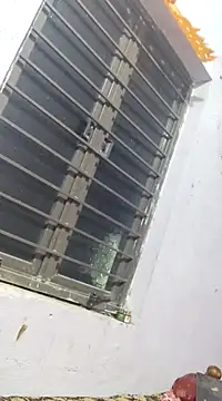 sana14 online show from 17, 3, 2025