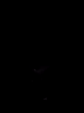 Donstark6669 online show from 23, 1, 2025