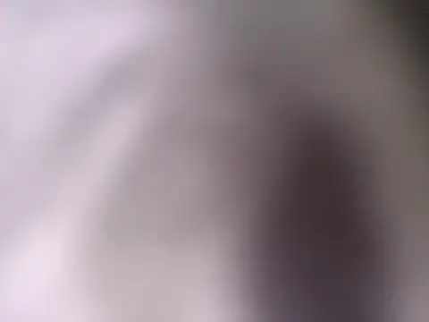 pantomax online show from 20, 9, 2025