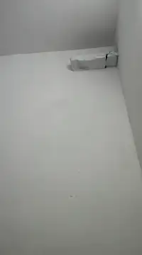 davidss57400 online show from 31, 1, 2025