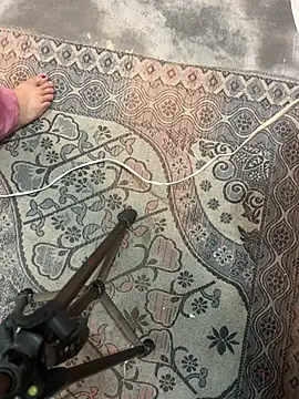 poision51 online show from 11, 4, 2026