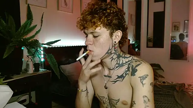 Snapshot of andrewWolffman chatting on 25, 5, 2026 andrewWolffman online show from 25, 5, 2026