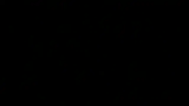 awesome anna online show from 19, 3, 2025