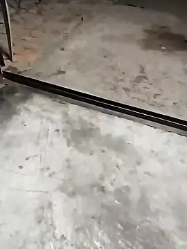 PracticalGum40 online show from 3, 12, 2024