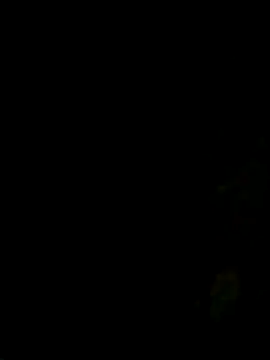 ken tanaka online show from 12, 9, 2025