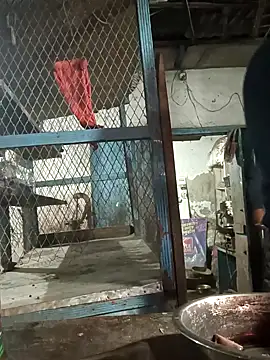 Snapshot of Skinny_Bigass_23 chatting on 10, 2, 2025 Skinny Bigass 23 online show from 10, 2, 2025