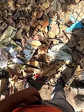 faaseel online show from 23, 4, 2026